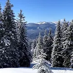 1 Bedroom Luxury Milena -free Parking Appartement Pamporovo
