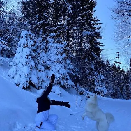 דירה 1 Bedroom Luxury Milena -free Parking