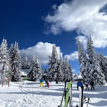 Appartamento 1 Bedroom Luxury Milena -free Parking Pamporovo